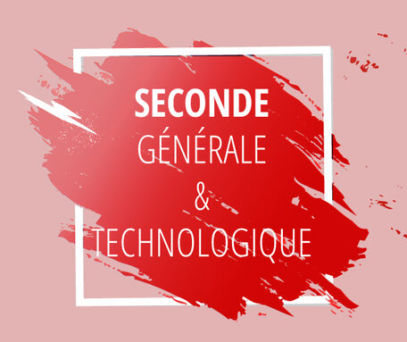 seconde-generale-et-technologique-lycee-henri-brisson.jpg